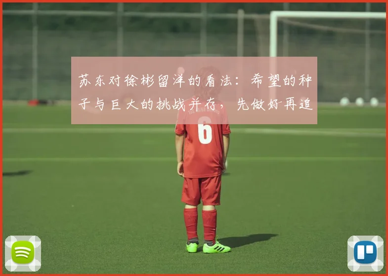 苏东对徐彬留洋的看法：希望的种子与巨大的挑战并存，先做好再追求完美