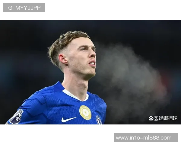 麦克法兰称帕尔默已具备能力罗塞尼尔的过渡将顺利进行