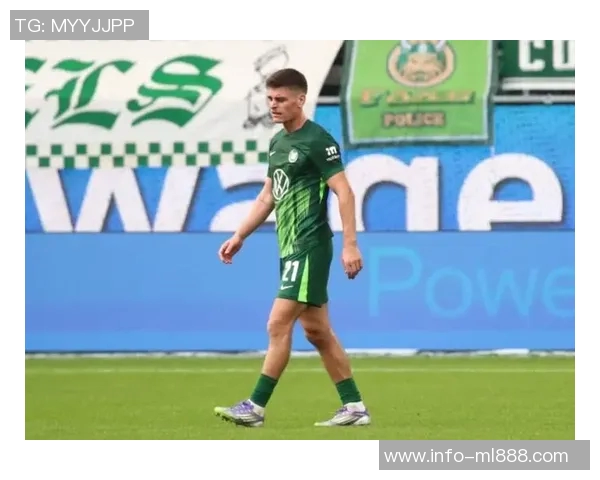 德甲前瞻：狼堡主场难敌霍芬海姆汉堡客场力争全身而退